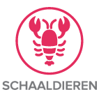 allergeen schaaldieren